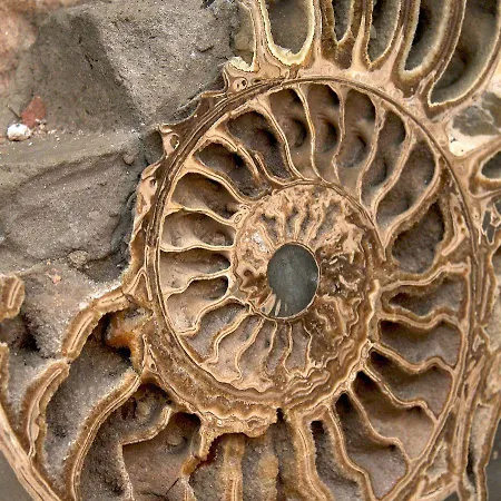 Belleek Castle, فندق 4*