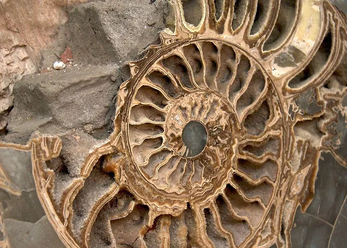 Belleek Castle, Hotel 4*