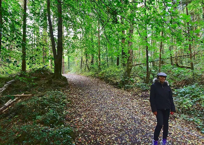 Hotel Belleek Castle, Ballina (Mayo)